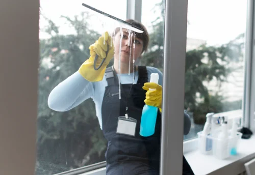 Nettoyage de vitres intérieures et extérieures à Nistos